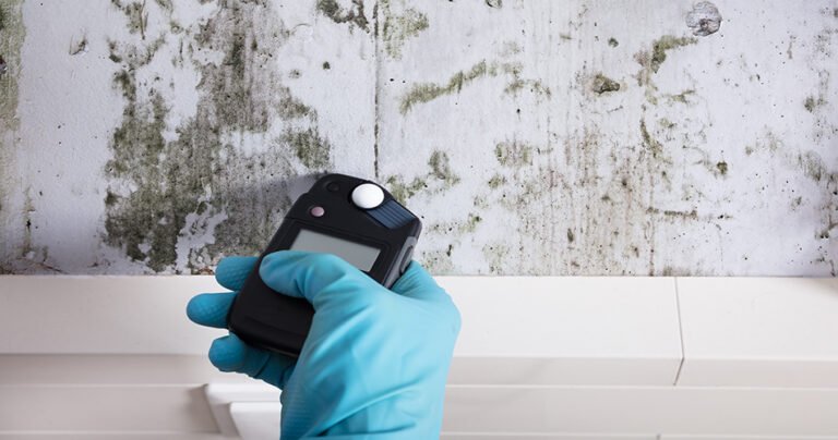 Mold inspection and testing services
